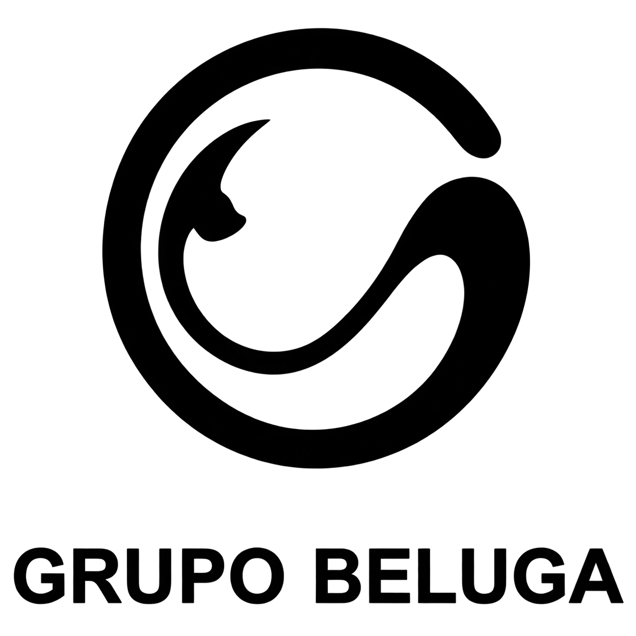 BELUGA LOGÍSTICA